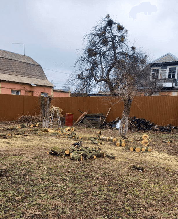 Підготовка ділянки під газон у Броварах